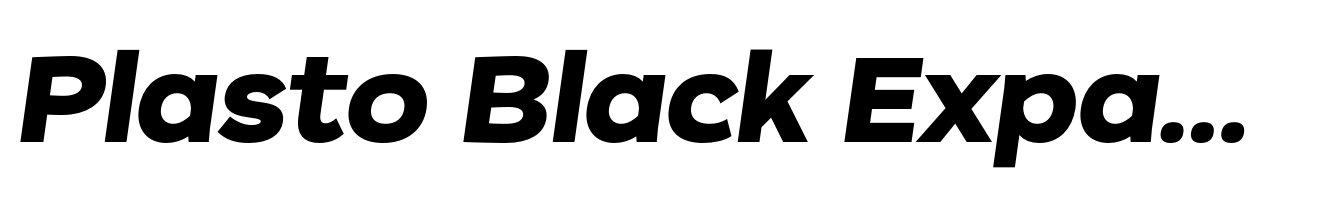 Plasto Black Expanded Italic